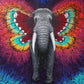 Pintura de Animales Original por Encargo 50x50 cm